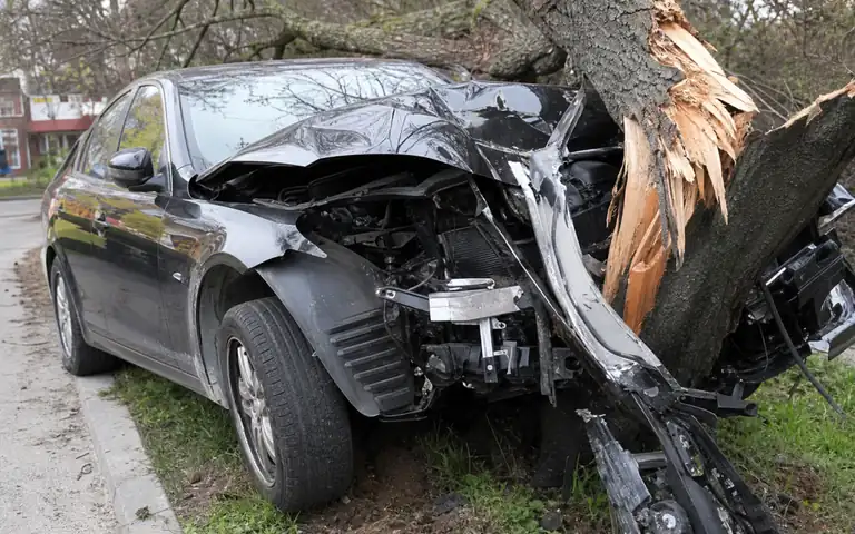 Imagen de la pregunta: Los accidentes de tráfico generan...