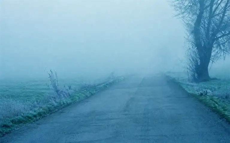 Imagen de la pregunta: Circulando con niebla es aconsejable...
